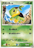 Turtwig - 027/DP-P DP-P Promotional cards #027/DP-P Pokémon TCG card (Japanese)